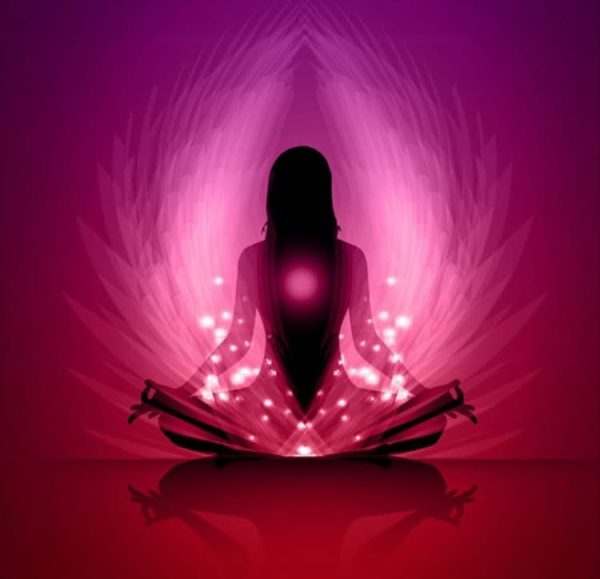 The Phoenix Brewing Company