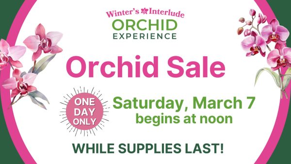 Kingwood Center Gardens