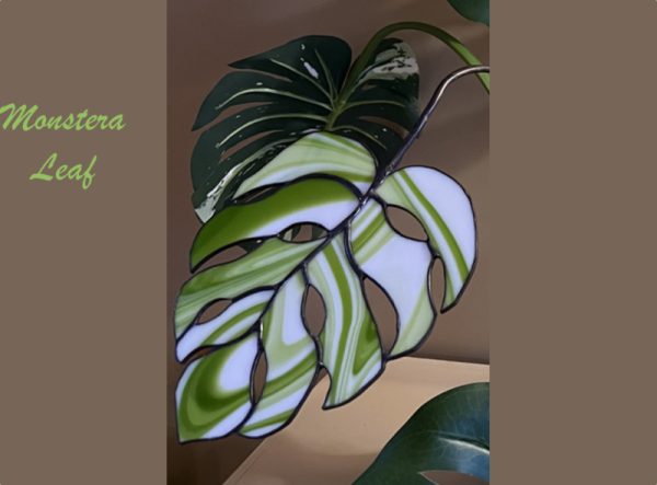  Monstera Leaf