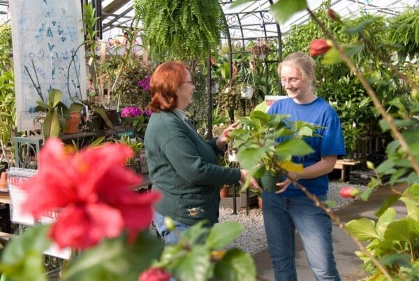 Alta Florist & Greenhouse