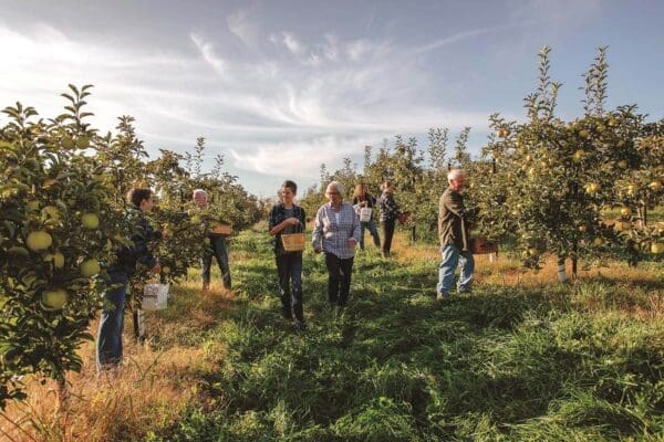 Apple Hill Orchards