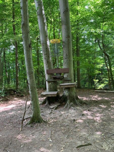 The Woodsman Disc Golf