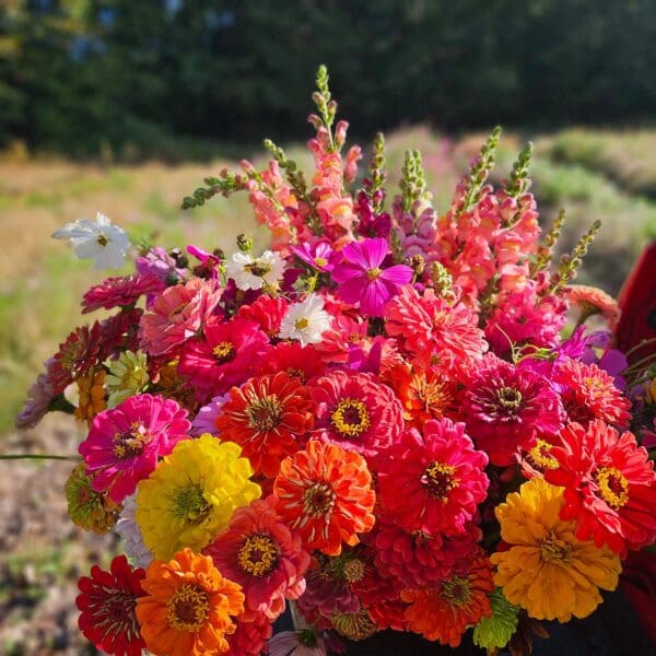 Walker Flower Farm